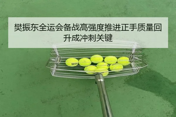 樊振东全运会备战高强度推进正手质量回升成冲刺关键